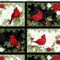 Cardinal Charm