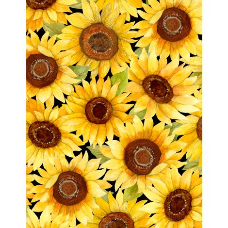 Sunflower Splendor