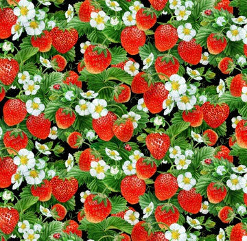 Strawberry Fields