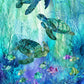 Coral Reef