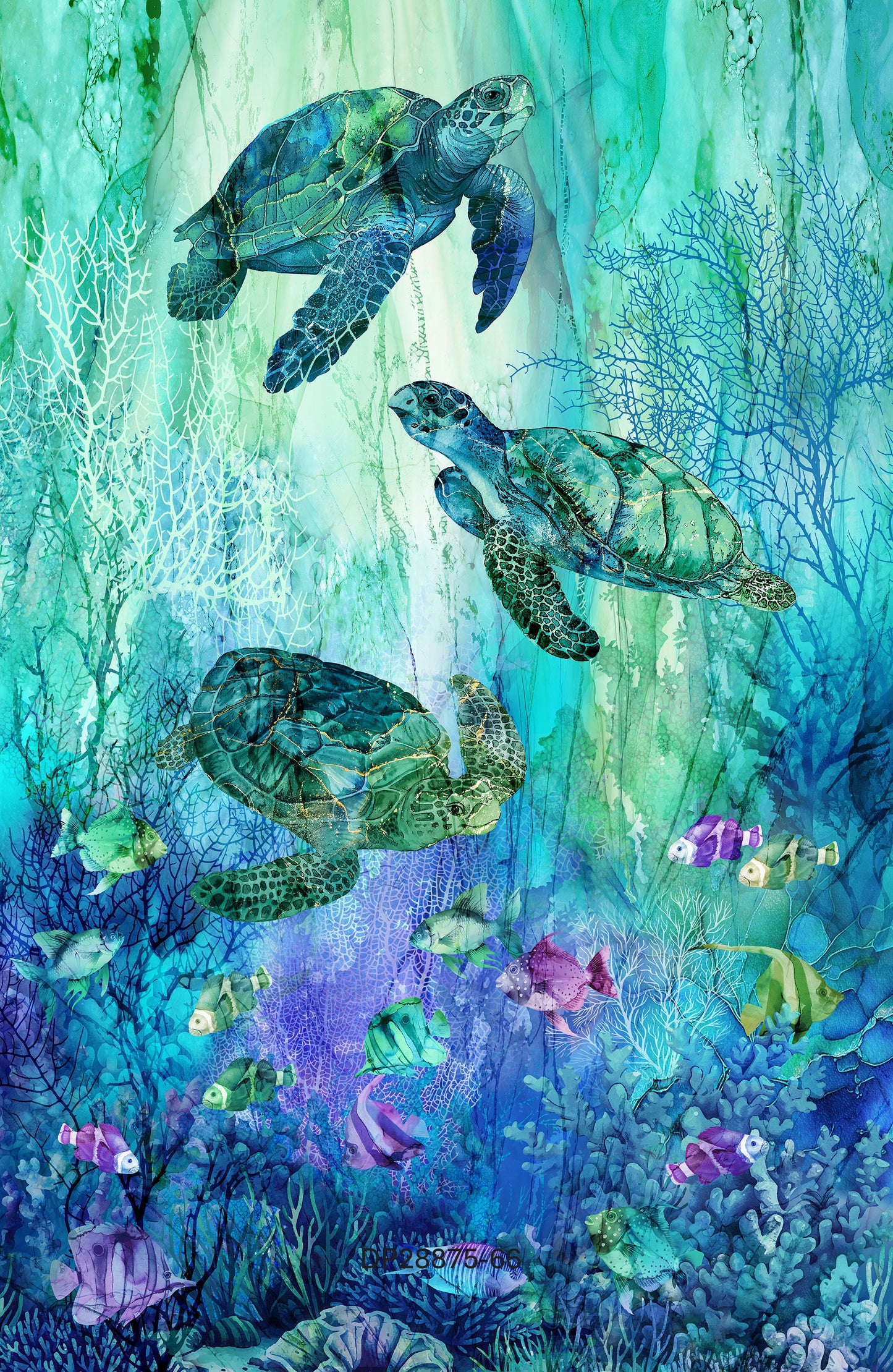 Coral Reef