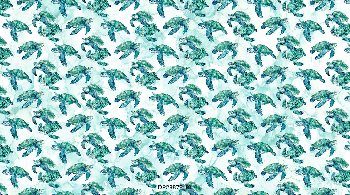 Coral Reef
