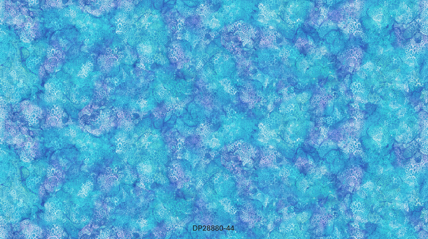Coral Reef