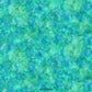 Coral Reef