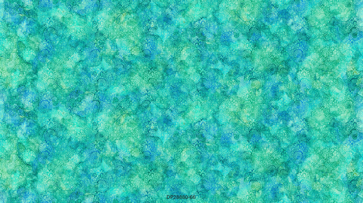Coral Reef