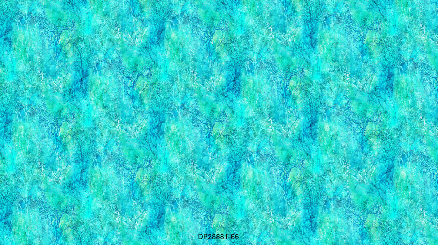 Coral Reef