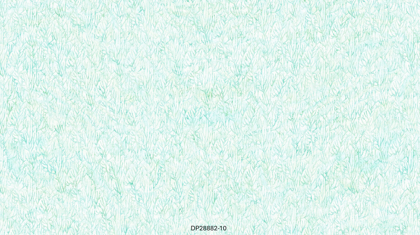 Coral Reef