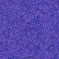 Coral Reef