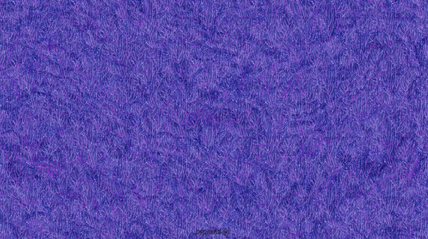 Coral Reef