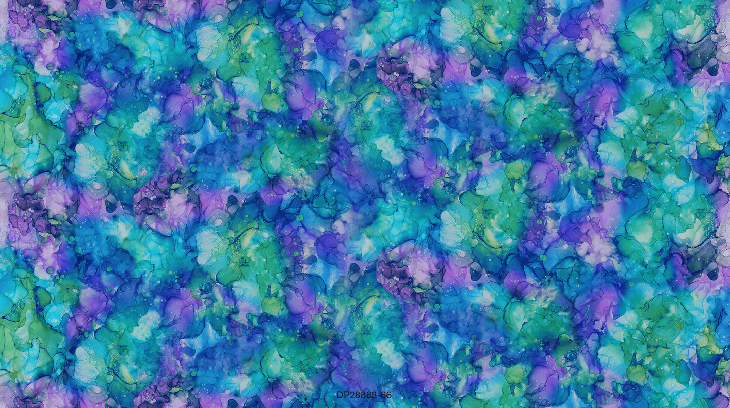Coral Reef