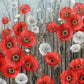 Poppy Meadow